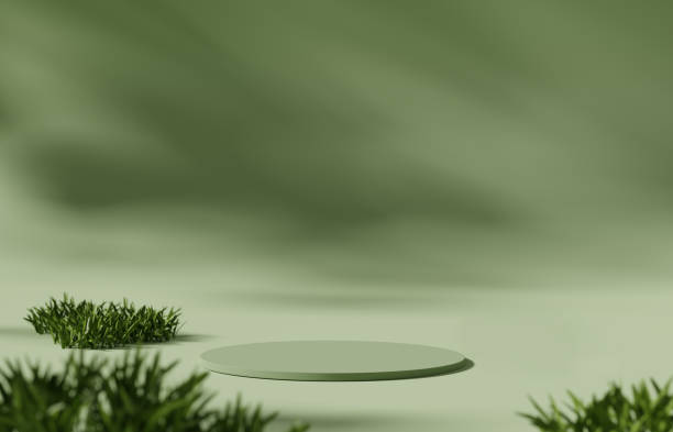 istock 3D display podium pastel green background, Easter bunny on natural green grass. Rabbit ears. Nature minimal pedestal. Beauty, cosmetic product presentation. Spring banner. 3d render mockup. 1468312259