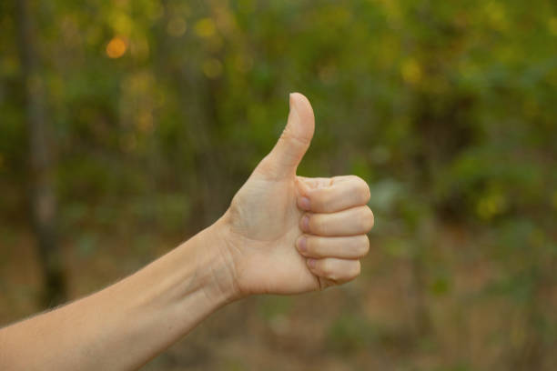istock female hands close-up outdoors in summer park close up 1468315782