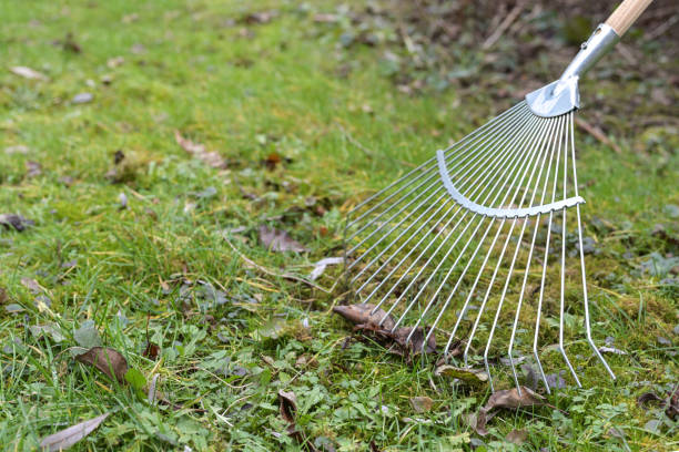 Removing brown leaves from the meadow with a metal leaf rake, spring cleaning in the garden and yard, copy space, selected focus stock photo