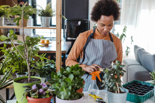 istock Gardening at home 1468325677