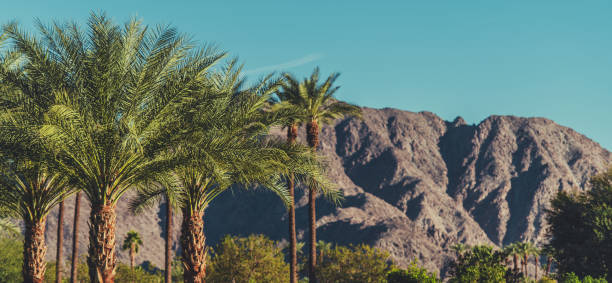 California Coachella Valley Landscape with Palms and Mountains.
