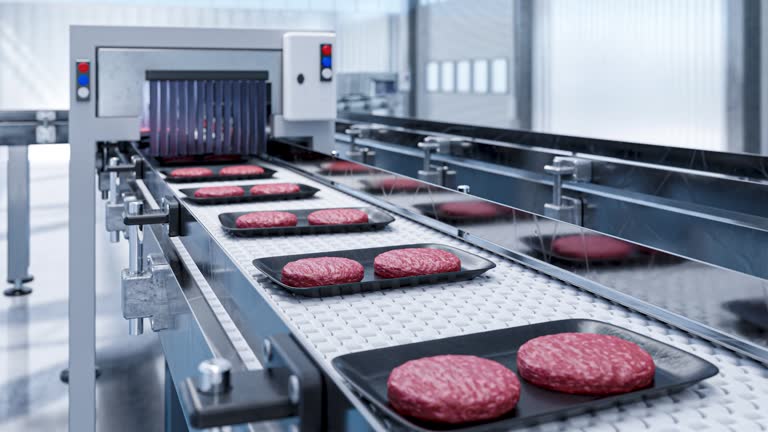 Conveyor in a factory of ready-made beef hamburger cutlets - a modern ecological bio-print meat factory