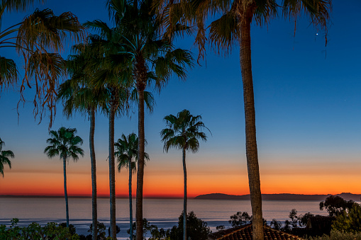 Blues, yellows, and oranges color this sunset image taken from a resort balcony.  Tall palm trees are in the foreground and Catalina Island is in the distance.