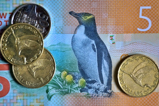 A close-up of a detail of a New Zealand Bank note depicting the endangered native bird, a yellow-eyed penguin or Hoiho (Megadyptes antipodes) with dollar coins.