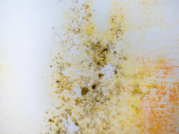 istock Mold on bathroom enamel. Black dots of mold and yellow plaque. Requires cleaning. Before using cleaning products. 1468343111