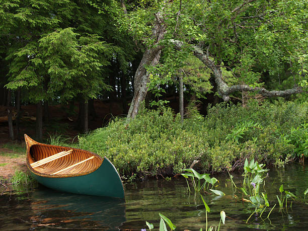 green wood and canvas canoe with tree on lakeshore stock photo