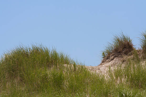 istock Seaside Sand Dune, Block Island 146834613