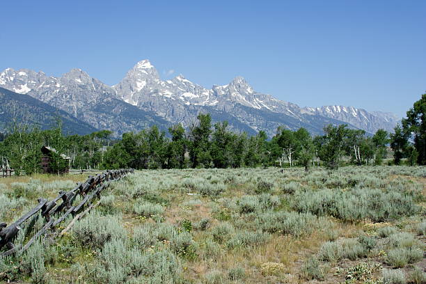 The Teton Mountains stock photo