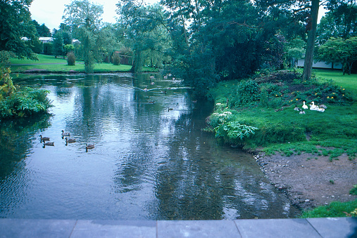 Island on lake in Blenheim Palace Grounds. Oxfordshire. England