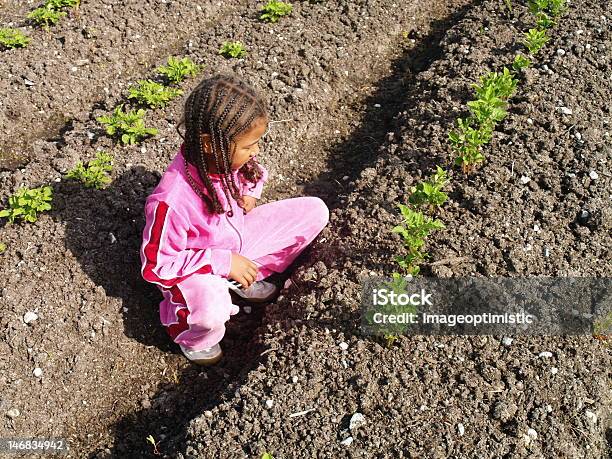 Campo Di Patate - Fotografie stock e altre immagini di Agricoltore - Agricoltore, Etiopia, Bambino