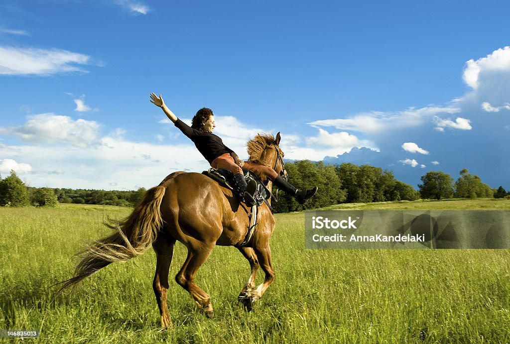 horse woman and horse Animal Tricks Stock Photo