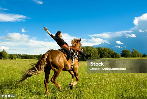 Horse Stock Photo - Download Image Now - Animal Tricks, Horse, Jockey