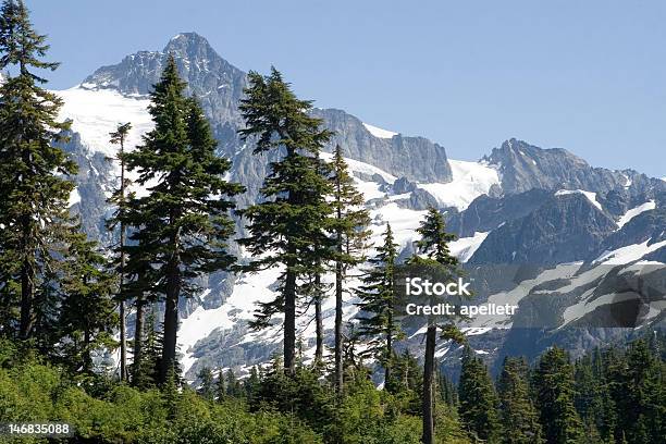 Photo libre de droit de Mont Shuksan banque d'images et plus d'images libres de droit de Arbre - Arbre, Chaîne Nord des Cascades, Chaîne de montagnes