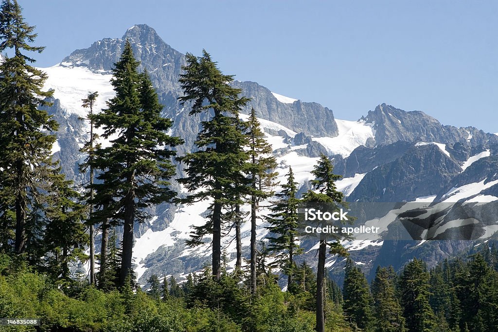 Гора Шуксан - Стоковые фото Mt Baker-Snoqualmie National Forest роялти-фри