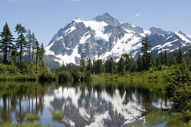 istock Mt Shuksan and Picture Lake 146835099