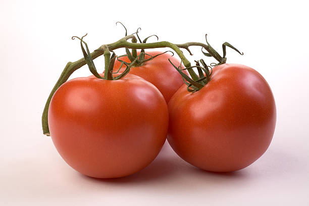 Tres tomates - foto de stock