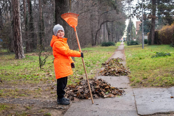Little boy in an orange worker's jacket with a rake in his hand. Autumn removal of fallen leaves.  - Dispute to clean up or not: preserve the lawn grass vs   formation of humus and soil. stock photo
