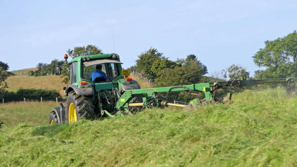 john deere 6920 tracteur et tondeuse coupant l’herbe pour l’ensilage dans une ferme royaume-uni - tractor farm uk agriculture photos et images de collection