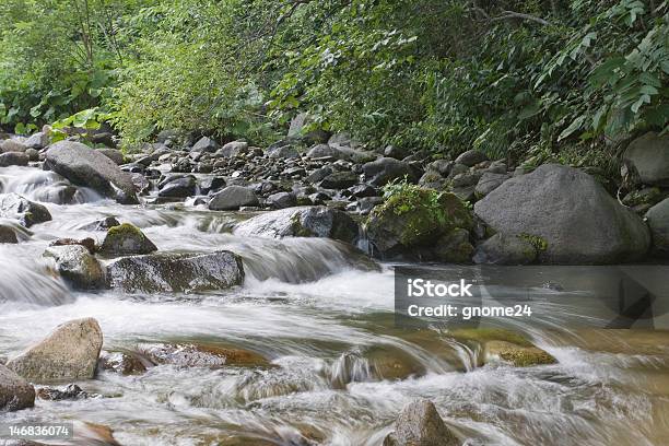 Stream In The Forest Stock Photo - Download Image Now - Forest, Hokkaido, Horizontal