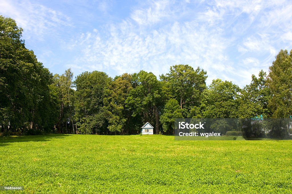 Casa su una Radura - Foto stock royalty-free di Albero