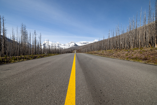 4K POV Video of Car driving on road in Waterton Lakes National Parks, Alberta, Canada