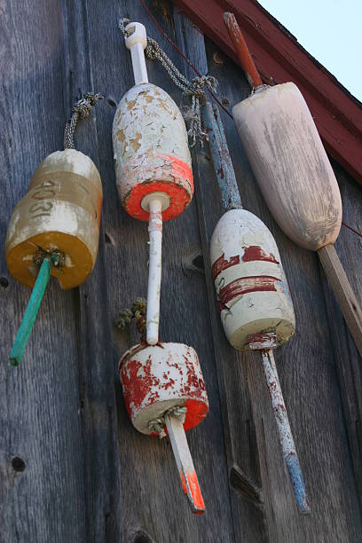 istock Lobster buoys in Maine 146836668