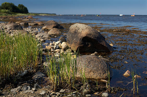 Danish coastline stock photo