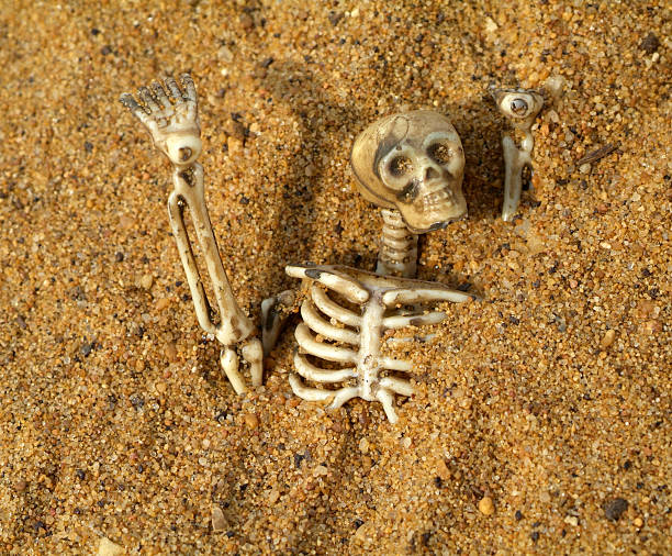 istock Buried in the sand 146837550
