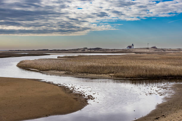 A view of marsh, river and Racepoint Lighthouse in the distance in Provincetown, Massachusetts, United States