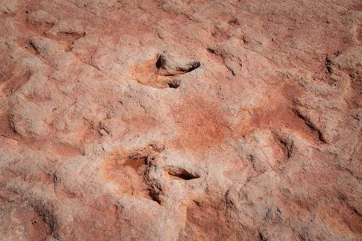 Moenkopi Dinosaur Tracks on Navajo Nation Lands in Moenkopi, Arizona, United States