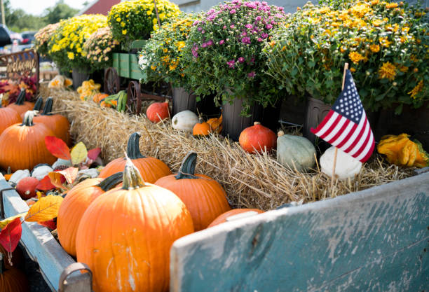 istock Fall wagon full of pumpkins and mums 1468376755
