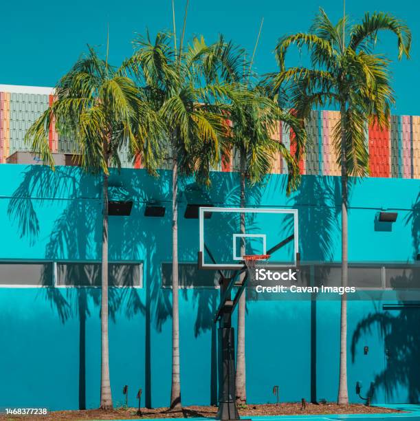 Beach With Palm Trees Basket In Wynwood Miami Stock Photo - Download Image Now - Miami, Wynwood, Hotel