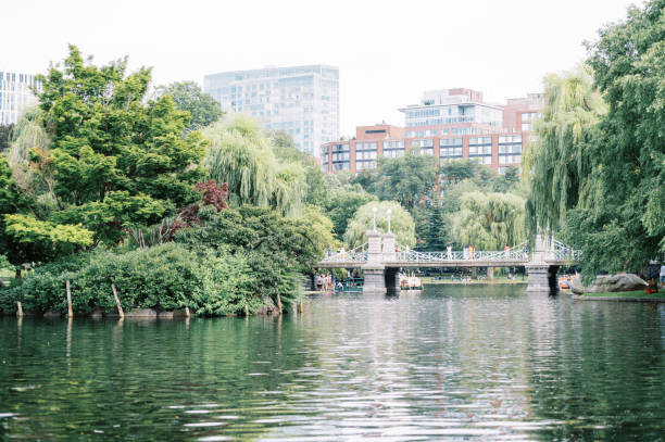 eau et pont au boston public garden dans le massachusetts - boston formal garden bridge park photos et images de collection