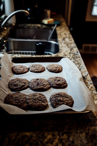 Batch of Chocolate Cookies Cooling on Baking Sheet on Kitchen Counter in Saint Paul, Minnesota, United States