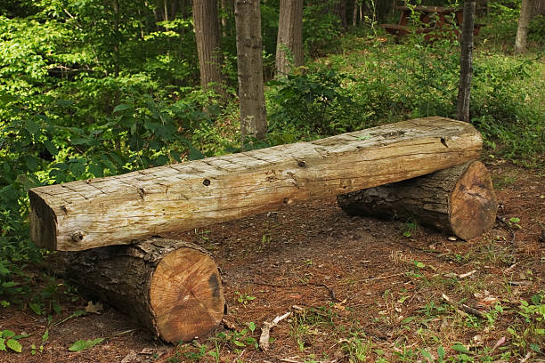 Log bench stock photo