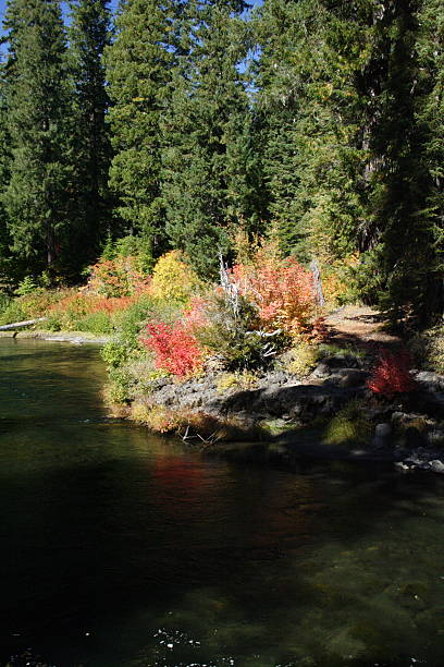 Fall on the Rogue River, OR stock photo