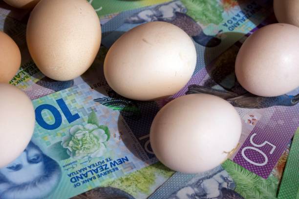 istock New Zealand Cash (NZD) and Eggs 1468380362