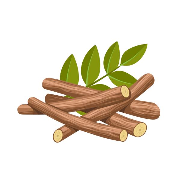 180+ Licorice Root Stock Illustrations, Royalty-Free Vector Graphics ...