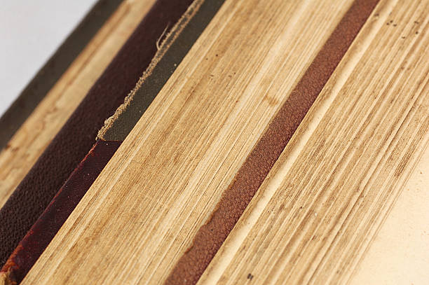 istock Open pages of old books 146838230