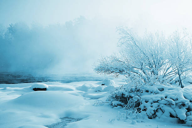 Beautiful winter stock photo