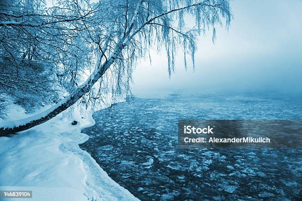 Bellissimo Inverno - Fotografie stock e altre immagini di Acqua - Acqua, Albero, Albero spoglio