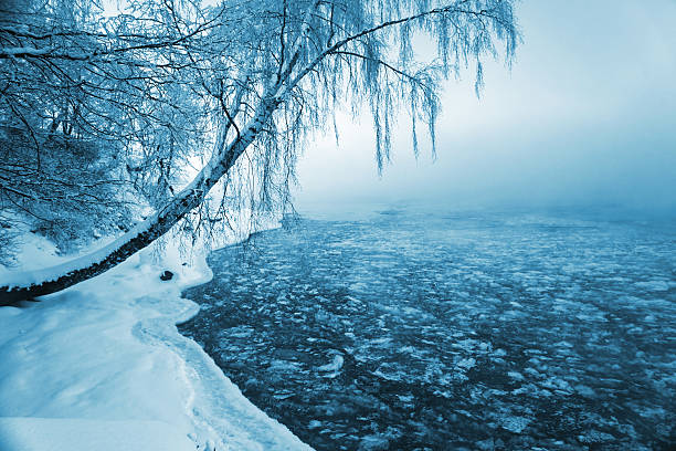 Beautiful winter stock photo