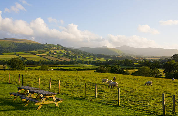 Take a seat and enjoy the view stock photo