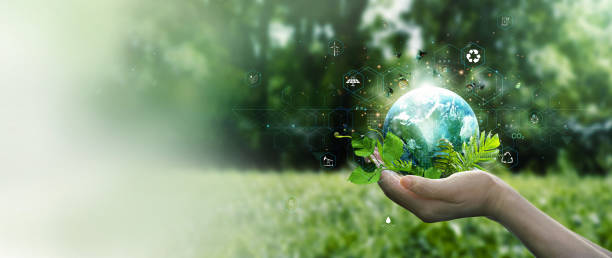 istock Hands protecting globe of green leafs and tree on tropical nature summer background, Ecology and Environment concept 1468392503