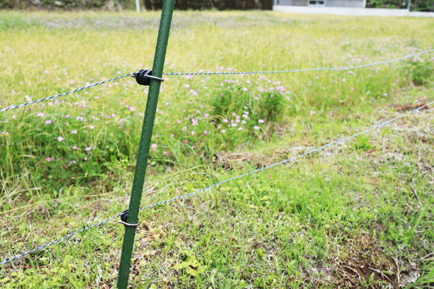 istock Electric fence to protect crops from pests 1468393100