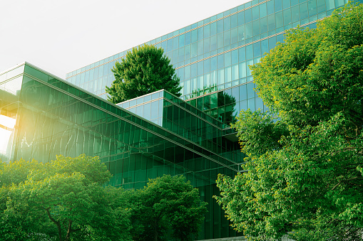 Construcción ecológica sostenible. Edificio ecológico. Edificio de oficinas de vidrio sostenible con árbol para reducir el dióxido de carbono. Oficina con entorno verde. Los edificios corporativos reducen el CO2. Vidrio de seguridad. photo