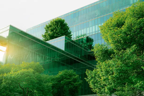 Sustainble green building. Eco-friendly building. Sustainable glass office building with tree for reducing carbon dioxide. Office with green environment. Corporate building reduce CO2. Safety glass.