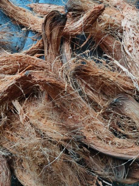 istock pile of wet brown raw coir 1468406291