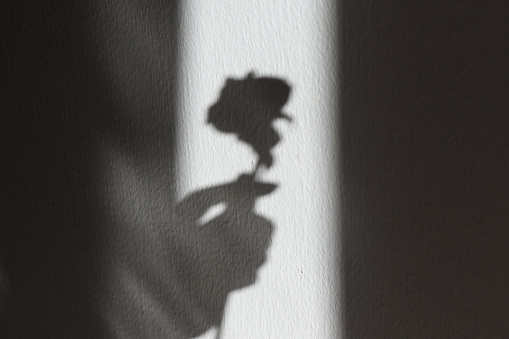the shadow of a woman's hand holding a rose.
