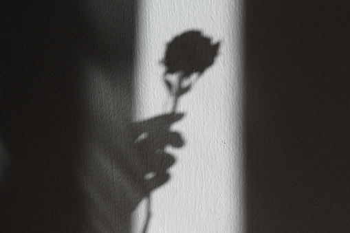 the shadow of a woman hand holding a rose.